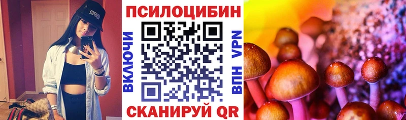 купить наркотики цена Игарка Галлюциногенные грибы GOLDEN TEACHER