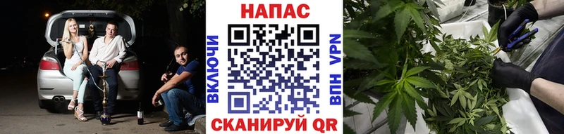 цена   Игарка  Каннабис OG Kush 